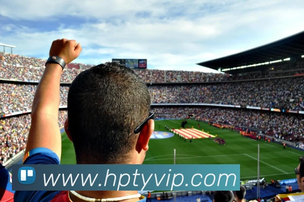 虎扑体育平台生态图